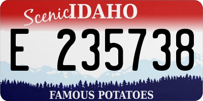 ID license plate E235738