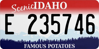 ID license plate E235746
