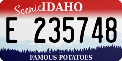 ID license plate E235748