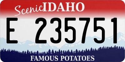 ID license plate E235751