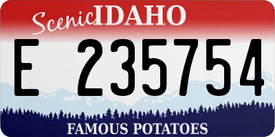 ID license plate E235754