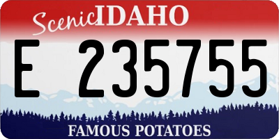 ID license plate E235755