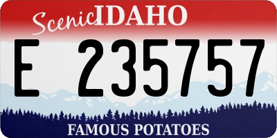 ID license plate E235757