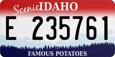 ID license plate E235761