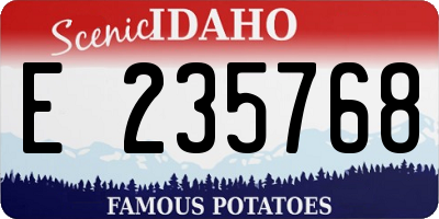 ID license plate E235768