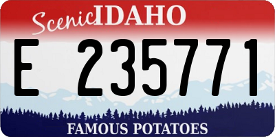ID license plate E235771