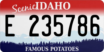 ID license plate E235786