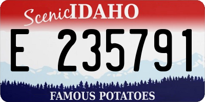 ID license plate E235791