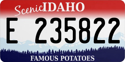 ID license plate E235822