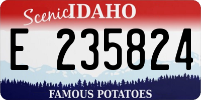 ID license plate E235824
