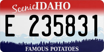 ID license plate E235831