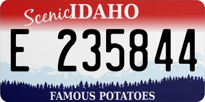 ID license plate E235844