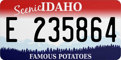 ID license plate E235864