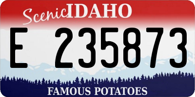 ID license plate E235873