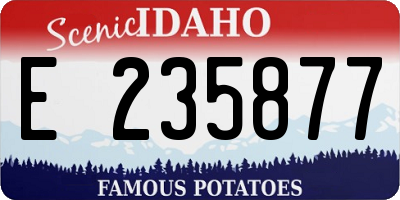 ID license plate E235877