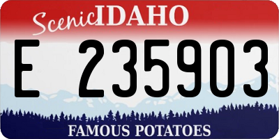 ID license plate E235903