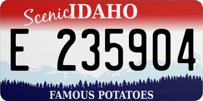 ID license plate E235904