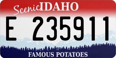 ID license plate E235911