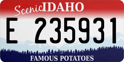 ID license plate E235931