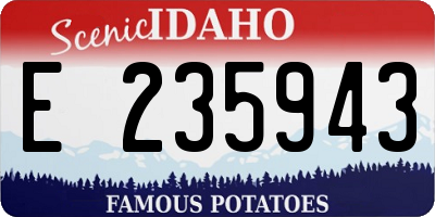 ID license plate E235943