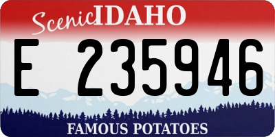 ID license plate E235946