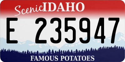 ID license plate E235947
