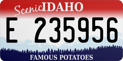 ID license plate E235956