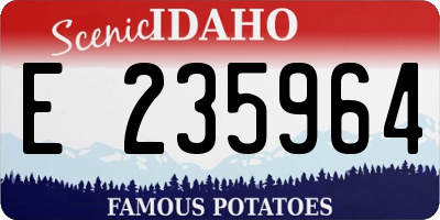 ID license plate E235964
