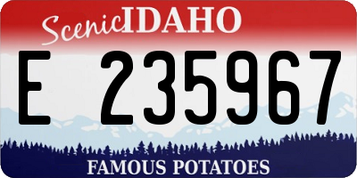 ID license plate E235967