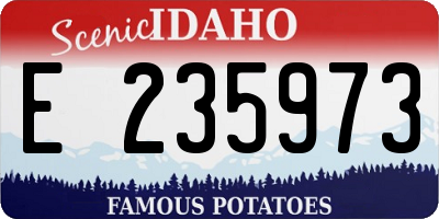 ID license plate E235973