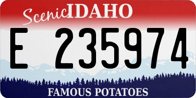 ID license plate E235974