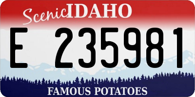 ID license plate E235981