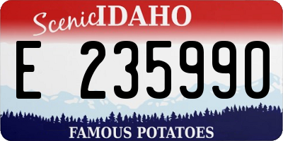 ID license plate E235990