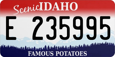 ID license plate E235995