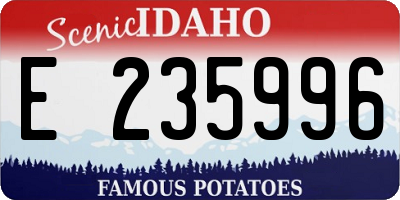 ID license plate E235996