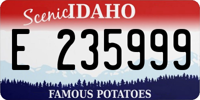 ID license plate E235999