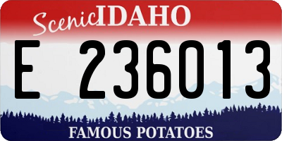 ID license plate E236013