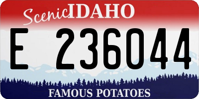 ID license plate E236044