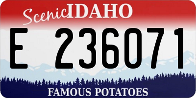 ID license plate E236071