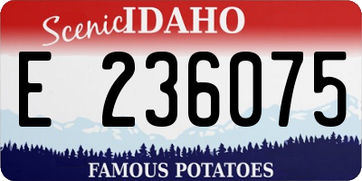ID license plate E236075