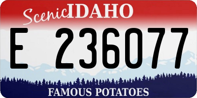 ID license plate E236077