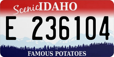 ID license plate E236104
