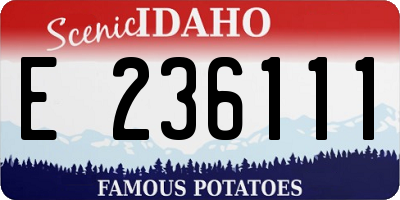 ID license plate E236111