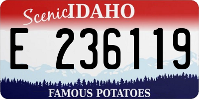 ID license plate E236119