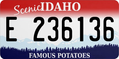 ID license plate E236136