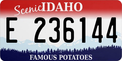 ID license plate E236144