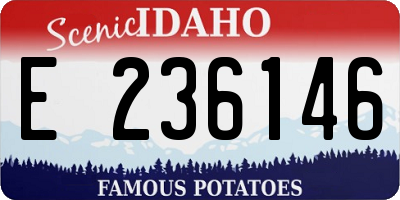 ID license plate E236146