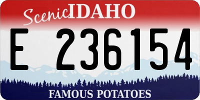 ID license plate E236154