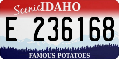 ID license plate E236168