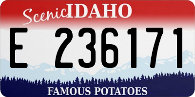 ID license plate E236171